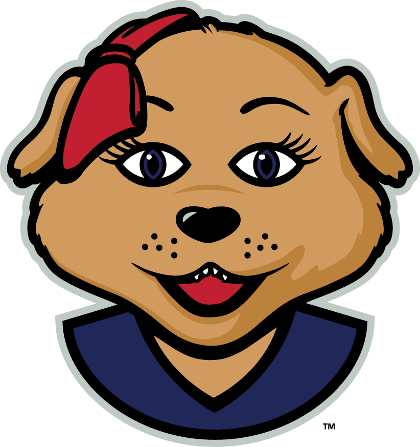 Arizona Wildcats 2013-Pres Mascot Logo v2 DIY iron on transfer (heat transfer)